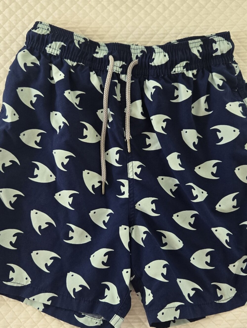 Tom & Teddy Navy Blue Swim Trunks with Light Aqua Fish Print